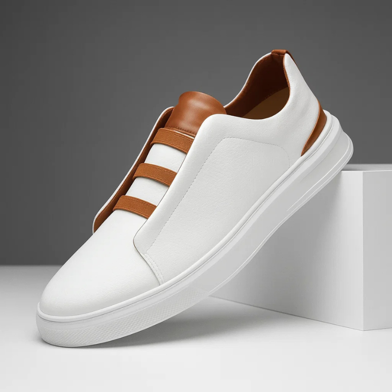https://cdn.shopify.com/s/files/1/0790/1626/3909/files/1_a1348a82-540b-44f5-95db-96618b19e17a.png?v=1767826906