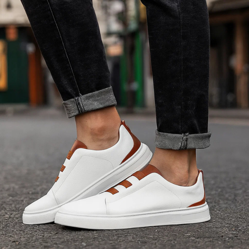 https://cdn.shopify.com/s/files/1/0790/1626/3909/files/5_3cf885d7-e549-44b4-874c-cde8d351c669.png?v=1767826906