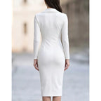 Lucienne Zip Front Sheath Dress Women's